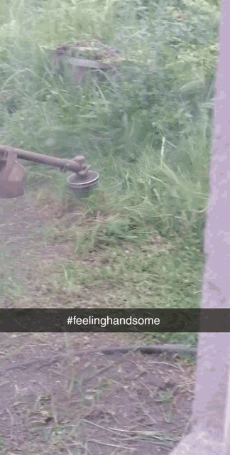 a snapchat of a person mowing grass with the hashtag #feelinghandsome