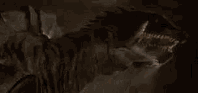 a close up of a wolf with its mouth open and teeth showing .