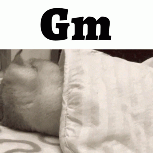 Good Morning GIF - Good Morning Gm GIFs