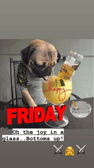 a pug dog is sitting at a table with a glass of beer and a bottle of corona beer on it