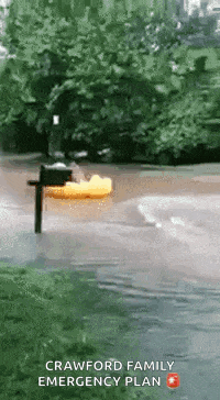 a yellow rubber duck is floating in a flooded street near a mailbox .