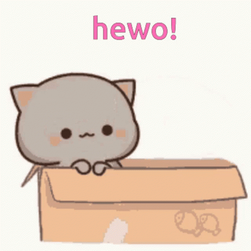 Hello Hewo GIF - Hello Hewo Hi GIFs