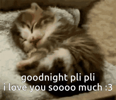 a kitten is sleeping on a pillow with the words goodnight pli pli i love you soooo much : 3