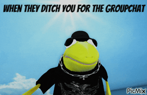 a picture of a frog with the words when they ditch you for the groupchat below it