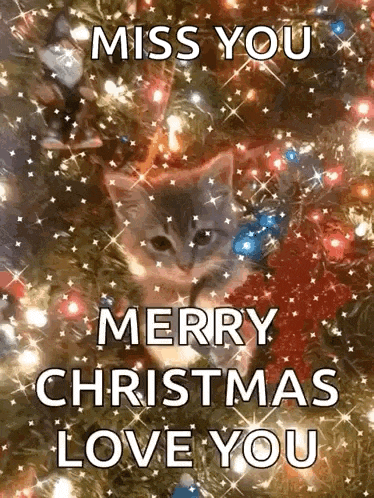 a cat is sitting under a christmas tree with the words `` miss you merry christmas love you '' written on it .