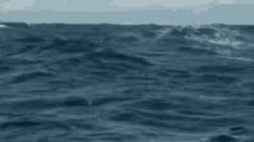 a person is flying through the air over the ocean .