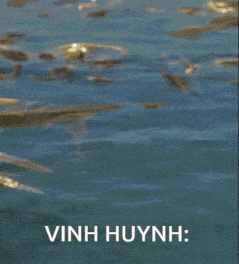 Vinh Huynh Vinhhuynh GIF - Vinh Huynh Vinhhuynh GIFs