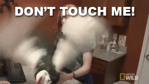 Don'T Touch Me GIF