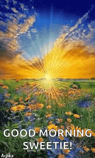 the sun is shining through the clouds over a field of flowers