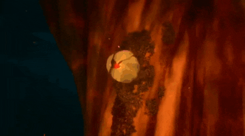 a red flower is glowing in the dark on a rock .