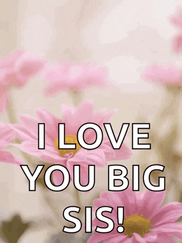 a picture of pink flowers with the words i love you big sis