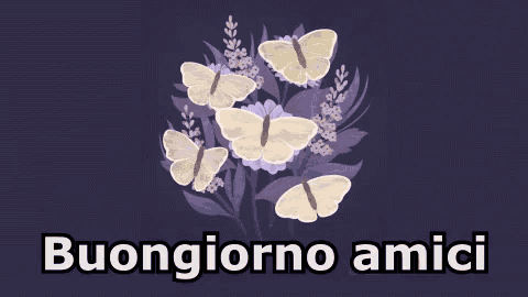 a purple background with butterflies and the words buongiorno amici in black