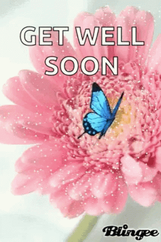 Get Well Soon Sparkles GIF - Get Well Soon Sparkles Flowers GIFs