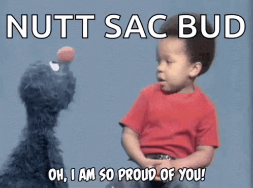 Sesame Street Proud GIF - Sesame Street Proud Hug GIFs