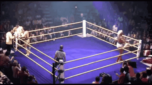 Hulk Hogan Rocky Balboa GIF - Hulk Hogan Rocky Balboa Fight GIFs