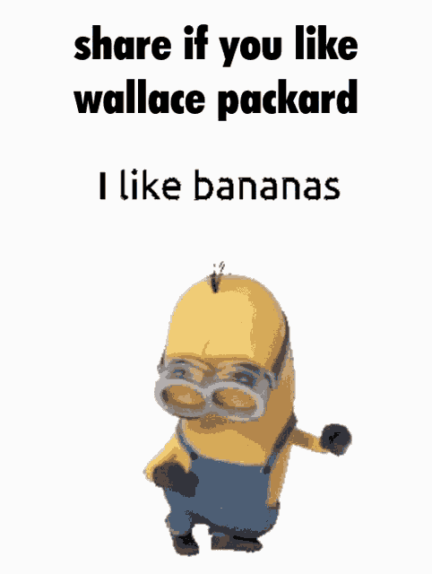 a picture of a minion with a caption saying share if you like wallace packard i like bananas