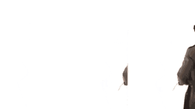 a man in a trench coat is walking in a row with a briefcase .