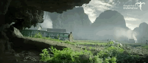 a man is walking through a lush green field with mountains in the background and the words wonderful indonesia on the bottom
