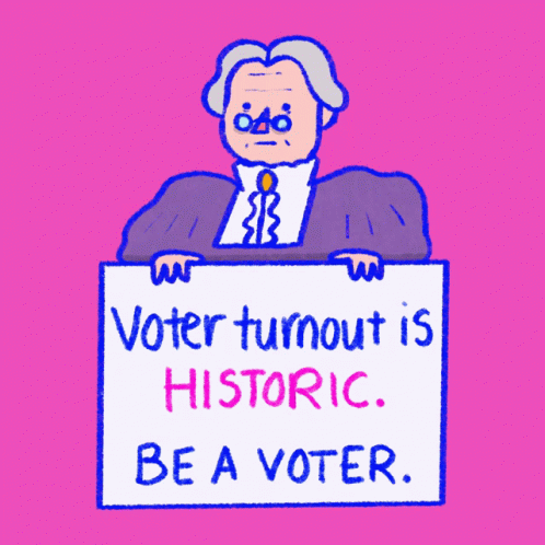 Voter Turnout Is Historic Be A Voter GIF
