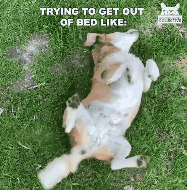 Trying Get Out GIF - Trying Get Out Bed GIFs