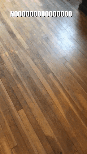 a wooden floor with the words nodddddddddddddd in white letters