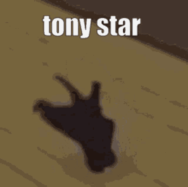 a dog is laying on the floor with the words `` tony star '' written on it .