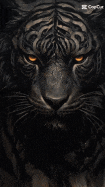 a picture of a woman with a tiger 's face painted on her face