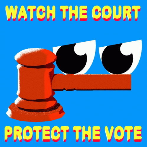 Protect The Vote Voter Suppression GIF