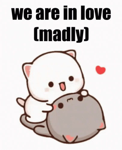 We Are In Love Madly GIF - We Are In Love Madly Peach Cats GIFs