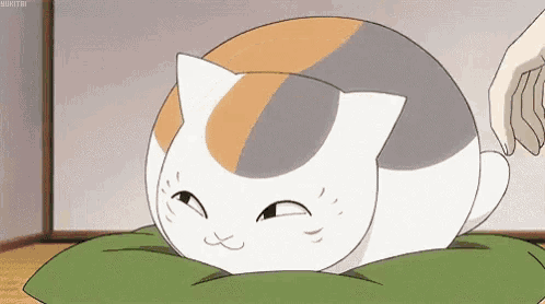 a cat is laying on a green pillow with a person 's hand on it .