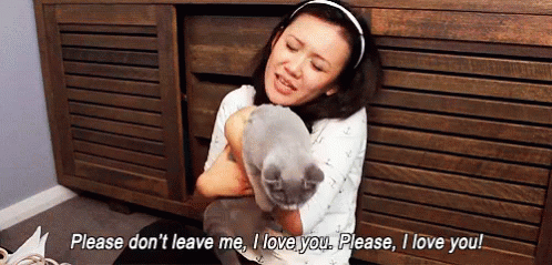 Me With Animals GIF - Please Dont Leave Iloveyou GIFs