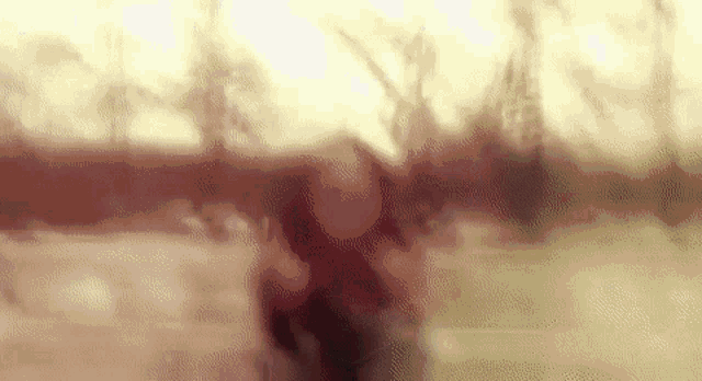 a blurry picture of a person walking in a park with trees in the background .