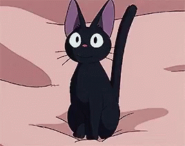 Cat Kitty GIF - Cat Kitty Anime GIFs