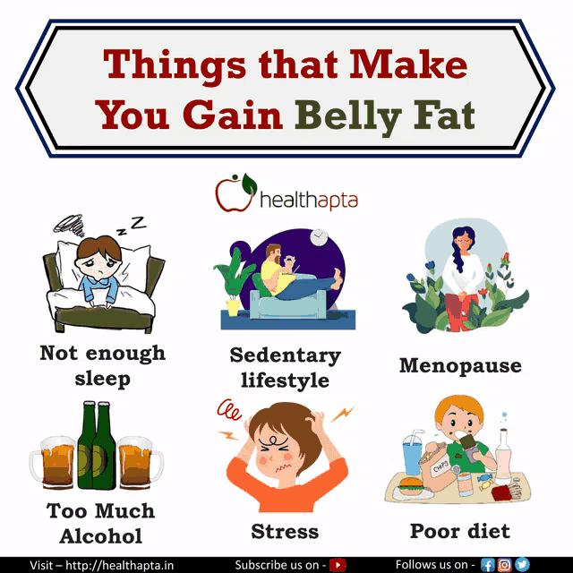 a poster explains things that make you gain belly fat