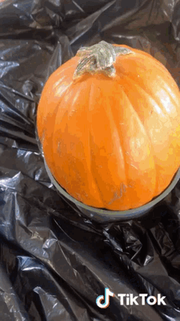 a pumpkin is sitting on a black plastic bag next to a tiktok sticker