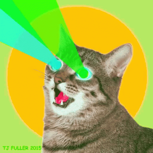 Cat Heat Vision GIF - Cat Heat Vision Insane GIFs