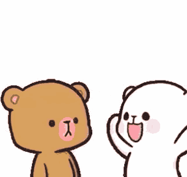 a brown and white teddy bear are standing next to each other on a white background .