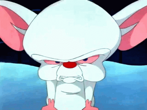 Pinky And The Brain Angry GIF - Pinky And The Brain The Brain Angry GIFs
