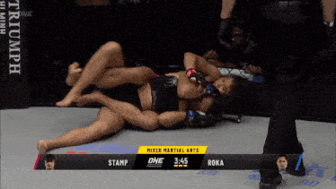 a mixed martial arts match is being shown on one