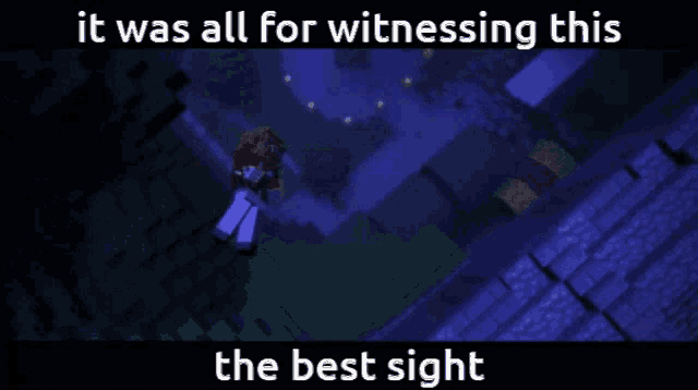 a screenshot of a video game with the words " it was all for witnessing this the best sight "