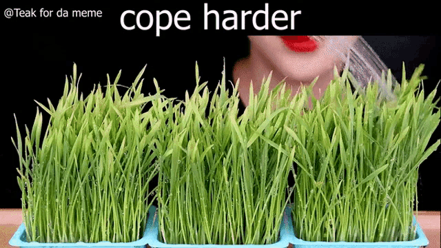 a woman is watering a bunch of green plants with the caption cope harder