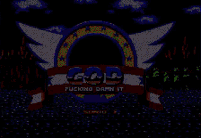 Sonic The Hedgehog God GIF - Sonic The Hedgehog God Fucking Damn It GIFs