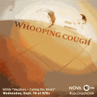 an advertisement for nova vaccines called whooping cough on wednesday sept 10 at 9 / 8c