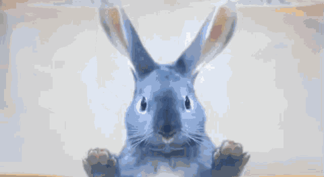 Blue Bunny Ice Cream GIF - Blue Bunny Blue Bunny GIFs