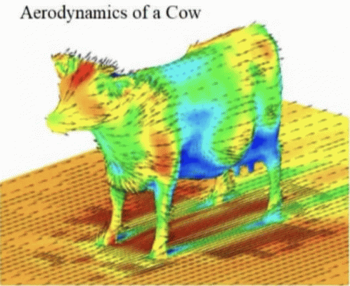 Cow Cool GIF - Cow Cool GIFs
