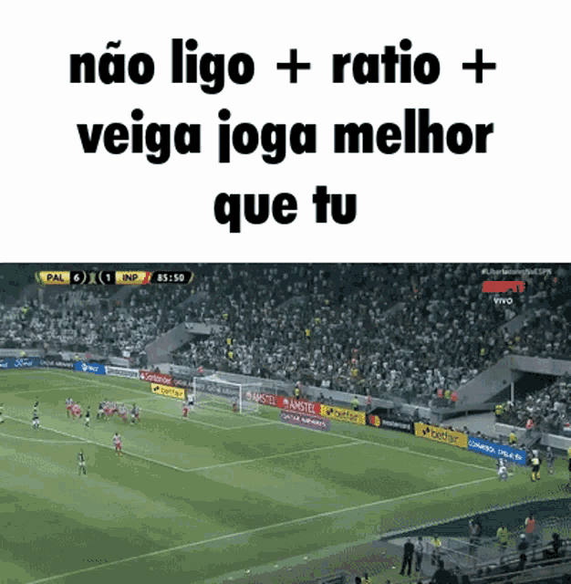 Palmeiras Ratio GIF - Palmeiras Ratio Brazil GIFs