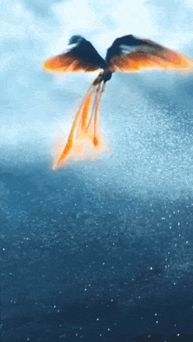 a dragon is flying through the air with its wings outstretched and a long tail .