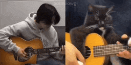 a man is playing a guitar next to a cat that is playing a guitar .