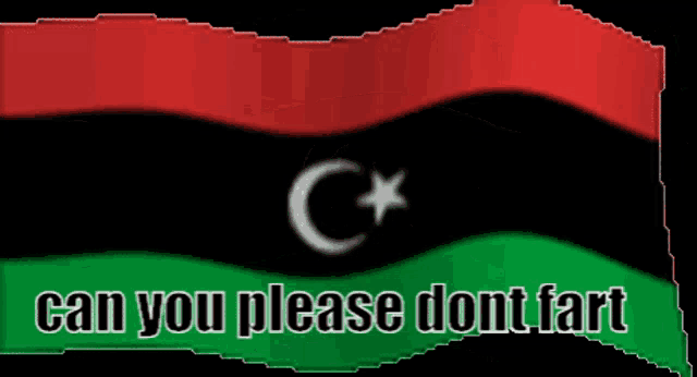 a picture of a flag with the words do the mario can you please dont fart on it