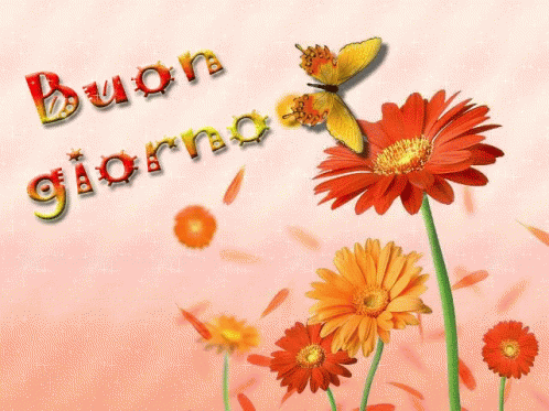 Buon Giorno Flowers GIF - Buon Giorno Flowers Love GIFs